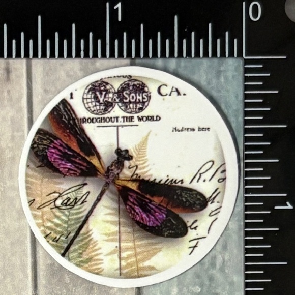🌀10/$10🌀 Vintage Insect Reusable Sticker Decal - Picture 1 of 1